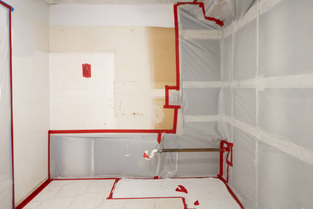 Best Flood Damage  in Crystal Lakes, OH