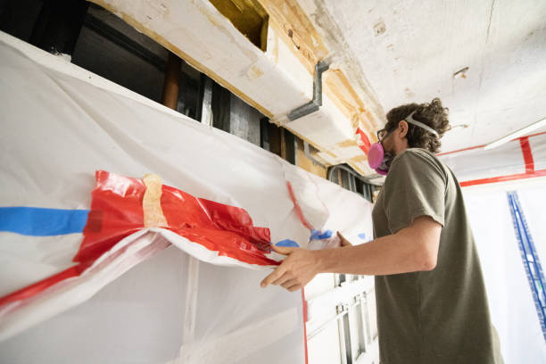 Best Mold Damage Restoration  in Crystal Lakes, OH