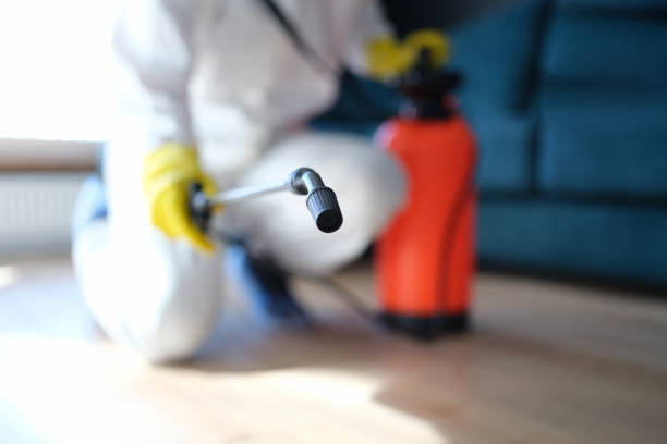 Biohazard Mold Removal in Crystal Lakes, OH