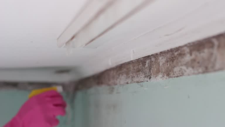 Best Mold-Related Health Consultation  in Crystal Lakes, OH